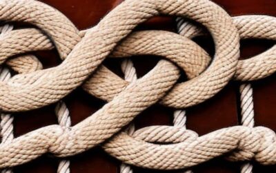 The five basic marine knots that every sailor should know